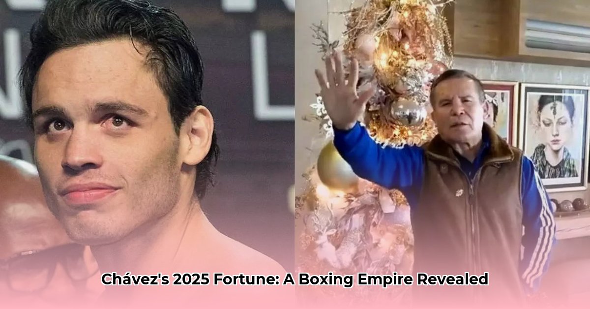 julio-cesar-chavez-net-worth